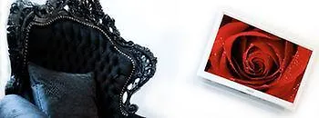 Bed & Breakfast X2brussels 3*